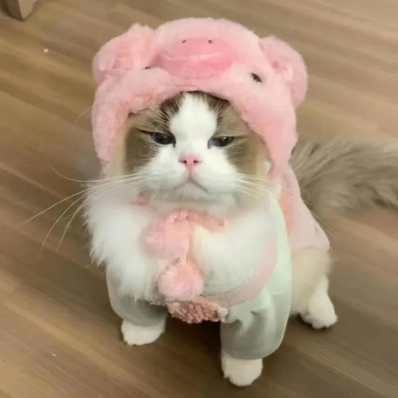 Komik evcil hayvan bandı peluş - Winter Headband Fleece incelemesi ve fiyatı